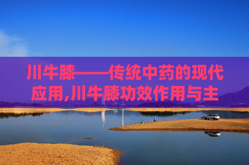 川牛膝——传统中药的现代应用,川牛膝功效作用与主治