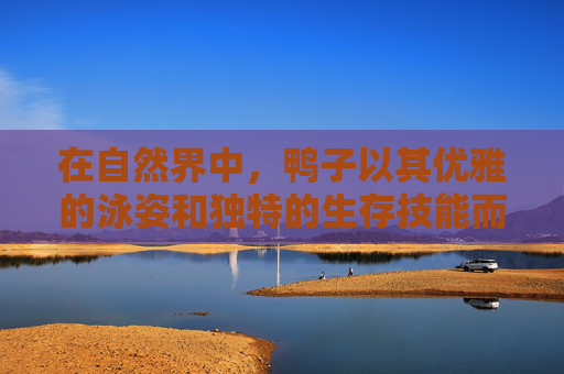 在自然界中，鸭子以其优雅的泳姿和独特的生存技能而闻名。它们不仅能够在水中自由翱翔，还能在水中游泳，这是许多其他鸟类所不具备的能力。鸭子游泳不仅仅是一种生存技巧，更是一种艺术，一种与生俱来的天赋。,鸭子游泳扩句