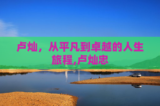 卢灿，从平凡到卓越的人生旅程,卢灿忠