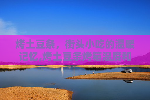 烤土豆条，街头小吃的温暖记忆,烤土豆条烤箱温度和时间