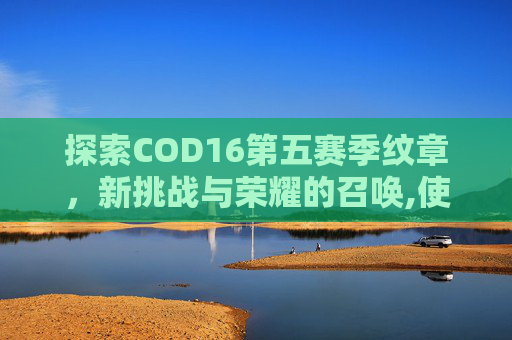 探索COD16第五赛季纹章，新挑战与荣耀的召唤,使命召唤16赛季纹章