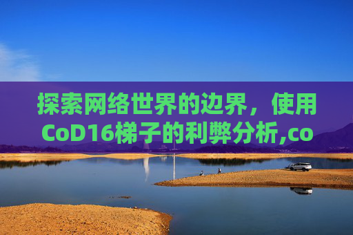 探索网络世界的边界，使用CoD16梯子的利弊分析,cod16ttk