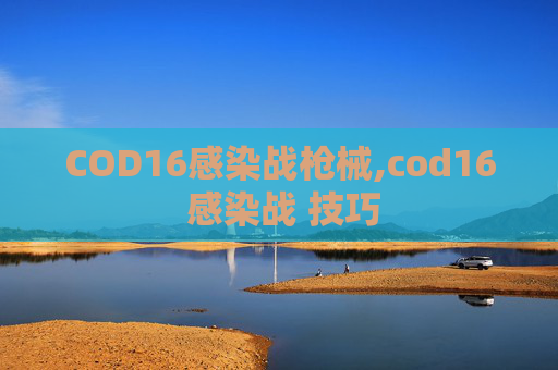 COD16感染战枪械,cod16 感染战 技巧