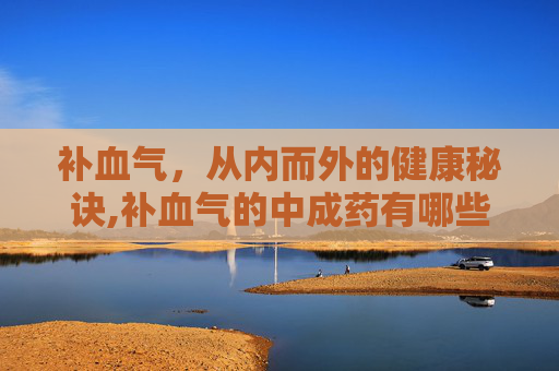 补血气，从内而外的健康秘诀,补血气的中成药有哪些