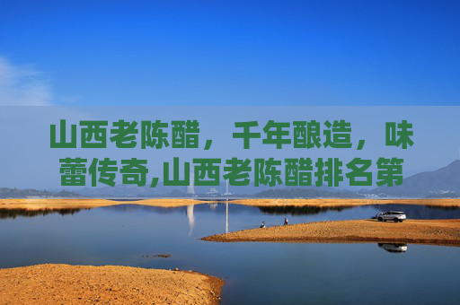 山西老陈醋，千年酿造，味蕾传奇,山西老陈醋排名第一的是哪个牌子