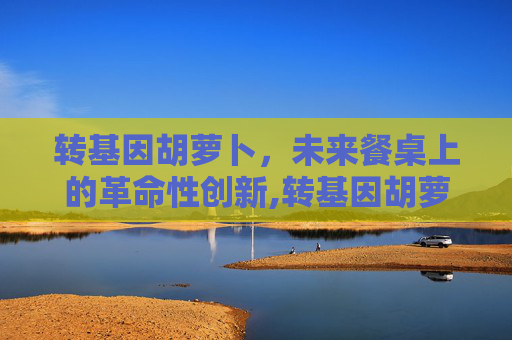 转基因胡萝卜，未来餐桌上的革命性创新,转基因胡萝卜和非转基因胡萝卜的区别
