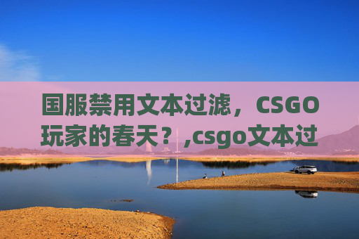 国服禁用文本过滤，CSGO玩家的春天？,csgo文本过滤账号首选项