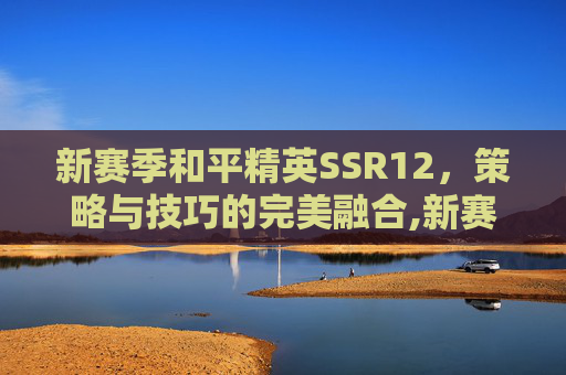 新赛季和平精英SSR12，策略与技巧的完美融合,新赛季和平精英ss12赛季时间