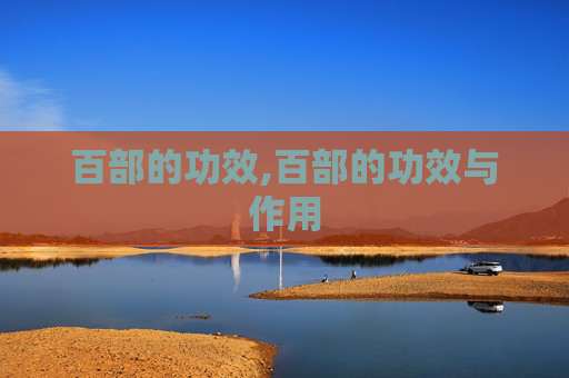 百部的功效,百部的功效与作用