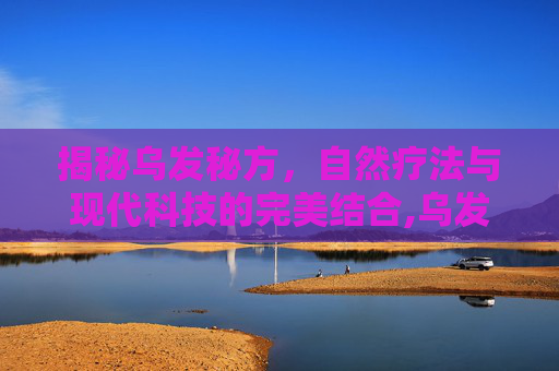 揭秘乌发秘方，自然疗法与现代科技的完美结合,乌发秘方大揭秘