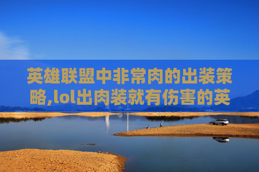 英雄联盟中非常肉的出装策略,lol出肉装就有伤害的英雄