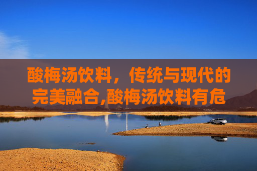 酸梅汤饮料，传统与现代的完美融合,酸梅汤饮料有危害吗