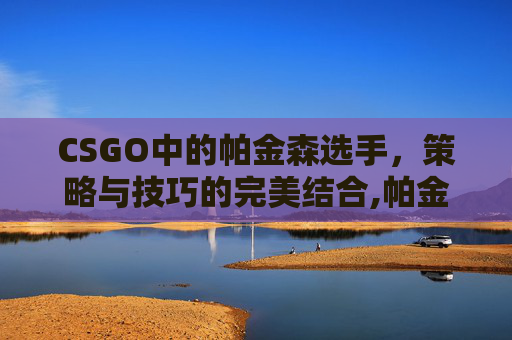 CSGO中的帕金森选手,策略与技巧的完美结合,帕金森选手什么意思 CSGO中的帕金森选手,策略与技巧的完美结合,帕金森选手什么意思