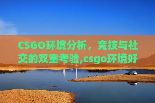 CSGO环境分析，竞技与社交的双重考验,csgo环境好吗