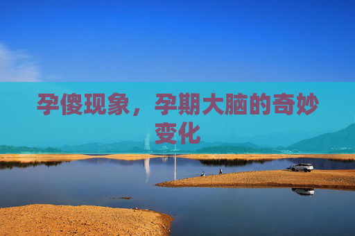 孕傻现象，孕期大脑的奇妙变化