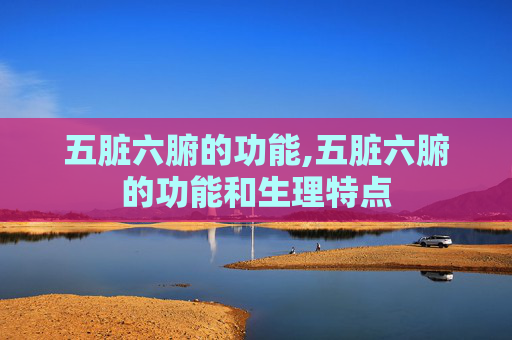 五脏六腑的功能,五脏六腑的功能和生理特点