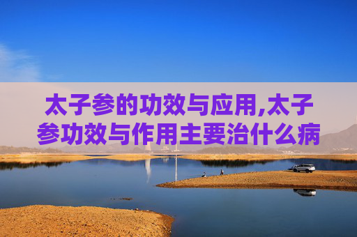 太子参的功效与应用,太子参功效与作用主要治什么病症