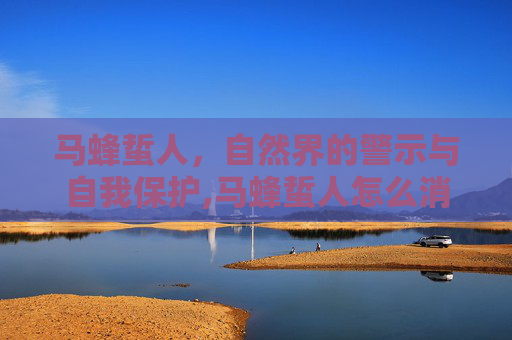 马蜂蜇人，自然界的警示与自我保护,马蜂蜇人怎么消肿止痒