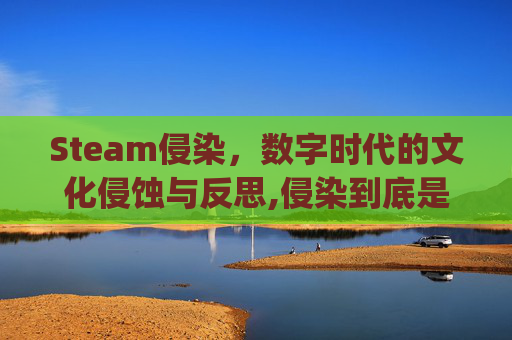 Steam侵染，数字时代的文化侵蚀与反思,侵染到底是jin还是qin