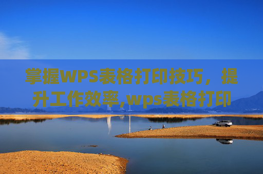 掌握WPS表格打印技巧，提升工作效率,wps表格打印时每一页都有表头