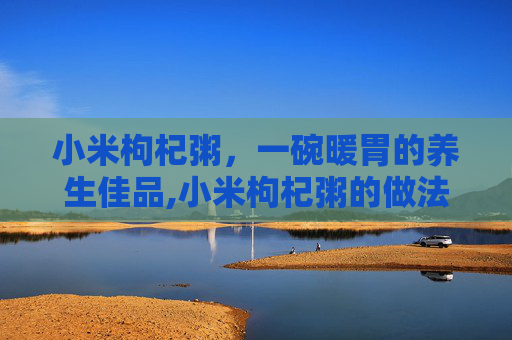 小米枸杞粥，一碗暖胃的养生佳品,小米枸杞粥的做法