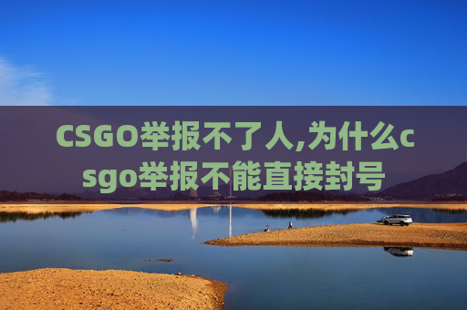 CSGO举报不了人,为什么csgo举报不能直接封号