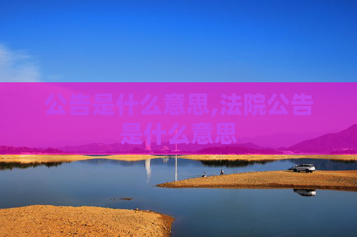 公告是什么意思,法院公告是什么意思