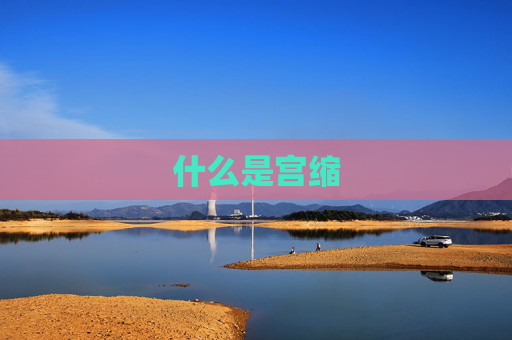 什么是宫缩