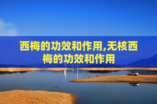 西梅的功效和作用,无核西梅的功效和作用