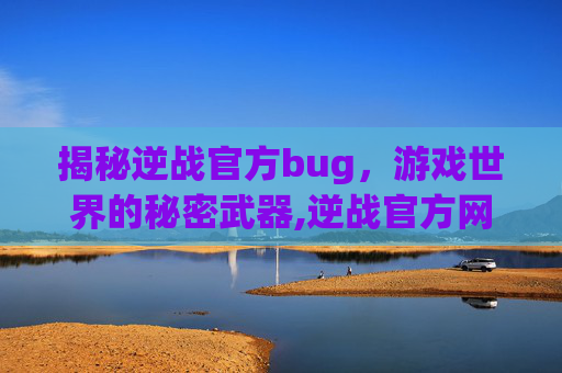 揭秘逆战官方bug，游戏世界的秘密武器,逆战官方网站入口