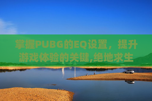 掌握PUBG的EQ设置，提升游戏体验的关键,绝地求生eq设置