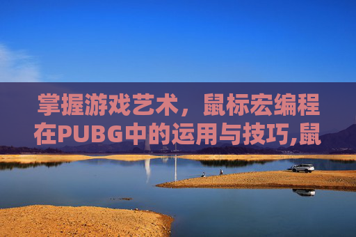 掌握游戏艺术，鼠标宏编程在PUBG中的运用与技巧,鼠标宏编程是什么意思