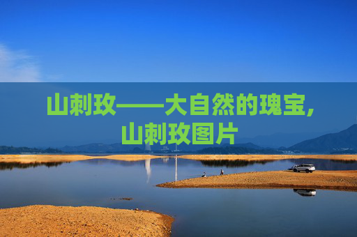 山刺玫——大自然的瑰宝,山刺玫图片