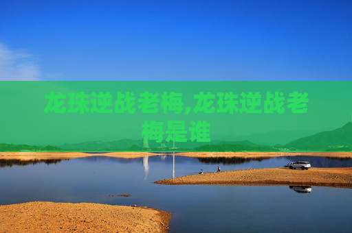 龙珠逆战老梅,龙珠逆战老梅是谁