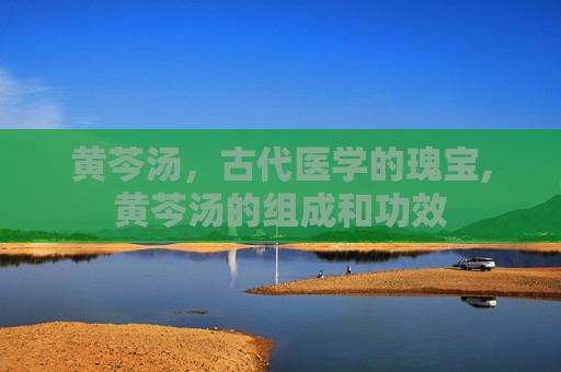黄芩汤，古代医学的瑰宝,黄芩汤的组成和功效