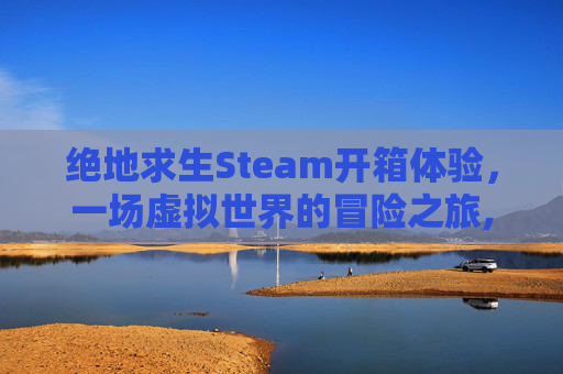 绝地求生Steam开箱体验，一场虚拟世界的冒险之旅,绝地求生steam箱子种类图解