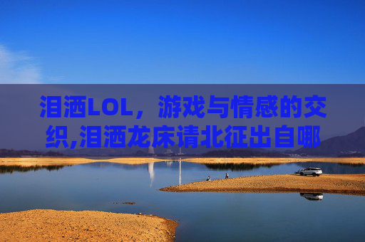 泪洒LOL，游戏与情感的交织,泪洒龙床请北征出自哪首诗