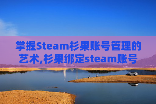 掌握Steam杉果账号管理的艺术,杉果绑定steam账号