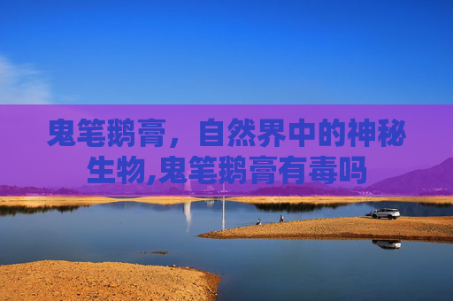 鬼笔鹅膏，自然界中的神秘生物,鬼笔鹅膏有毒吗