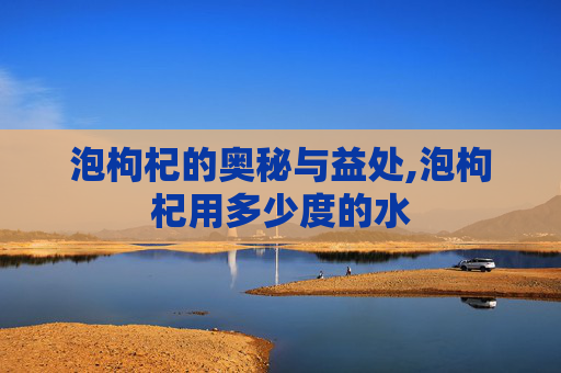 泡枸杞的奥秘与益处,泡枸杞用多少度的水