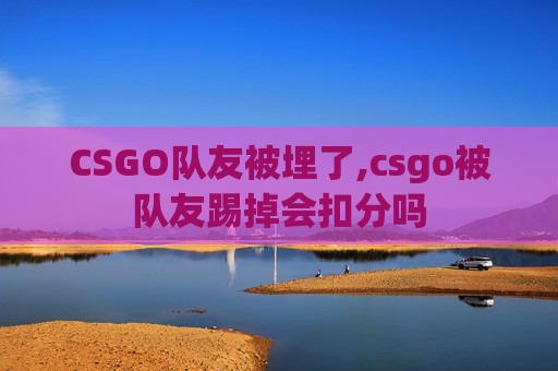 CSGO队友被埋了,csgo被队友踢掉会扣分吗