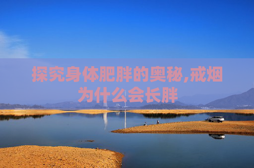探究身体肥胖的奥秘,戒烟为什么会长胖