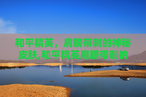 和平精英，肩膀带刺的神秘皮肤,和平精英肩膀带刺的风衣