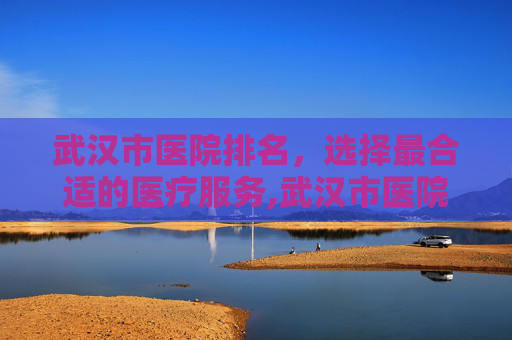 武汉市医院排名，选择最合适的医疗服务,武汉市医院排名前十名