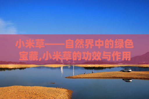 小米草——自然界中的绿色宝藏,小米草的功效与作用