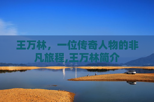 王万林，一位传奇人物的非凡旅程,王万林简介