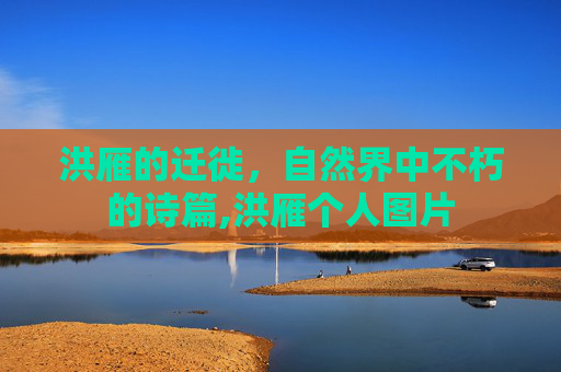 洪雁的迁徙，自然界中不朽的诗篇,洪雁个人图片