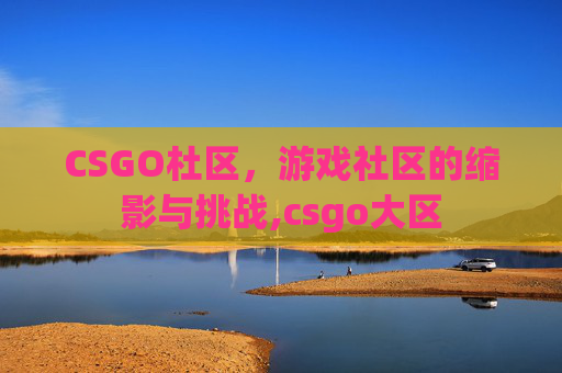 CSGO杜区，游戏社区的缩影与挑战,csgo大区