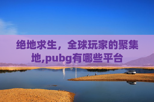绝地求生，全球玩家的聚集地,pubg有哪些平台