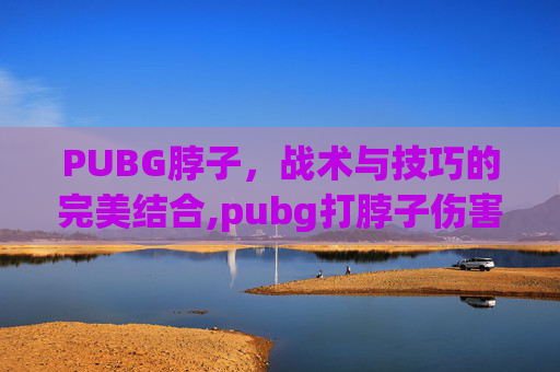 PUBG脖子，战术与技巧的完美结合,pubg打脖子伤害